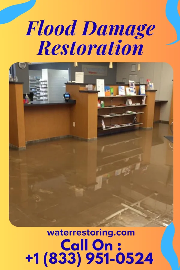 Flood Damage Restoration in Yale, IL