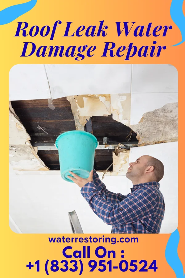 Roof Leak Water Damage Repair in Yale, IL